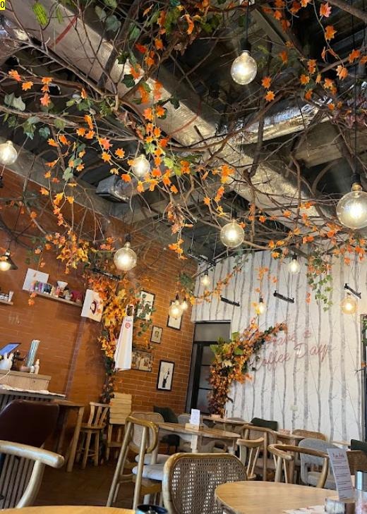 Interior de Lobo de Bosque con ramas y hojas de otoño
